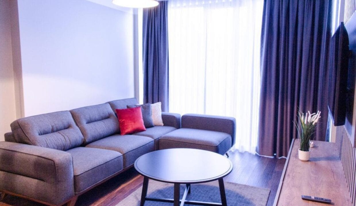مشروع Net Levent - مشروع نت ليفانت