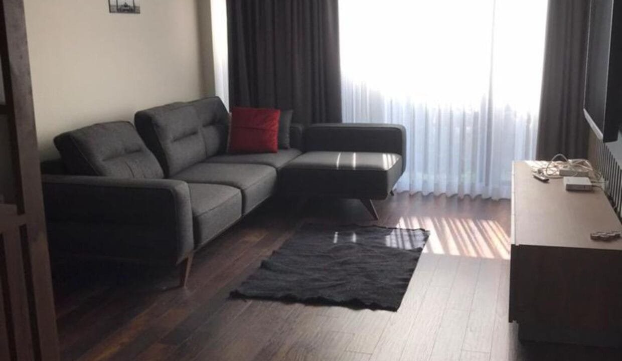 مشروع Net Levent - مشروع نت ليفانت