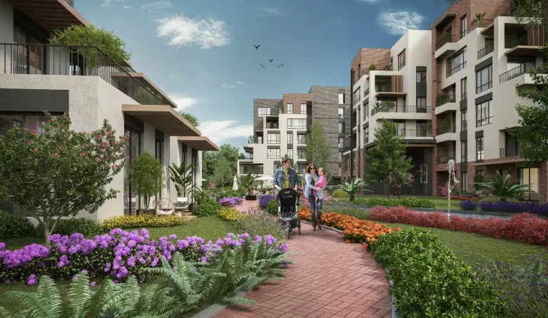معرض الصور