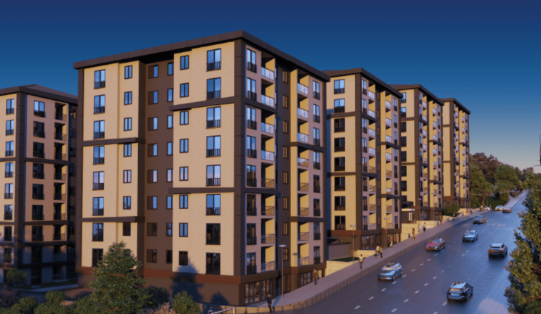 معرض الصور